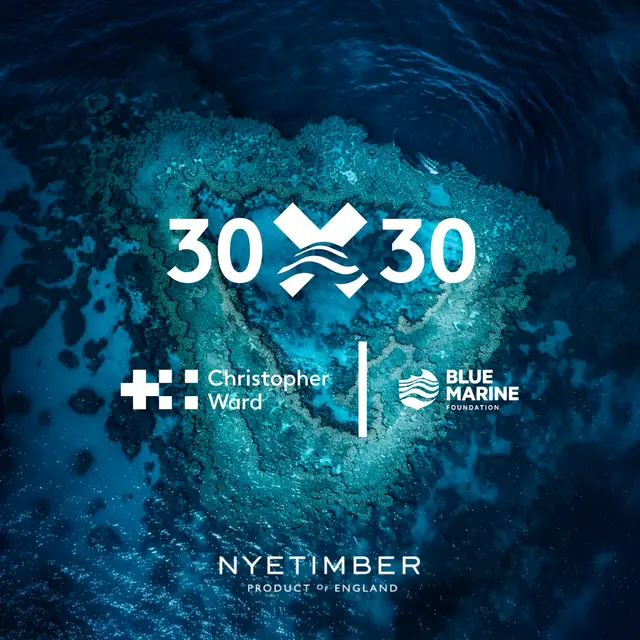 Loupe Live: Sea Change