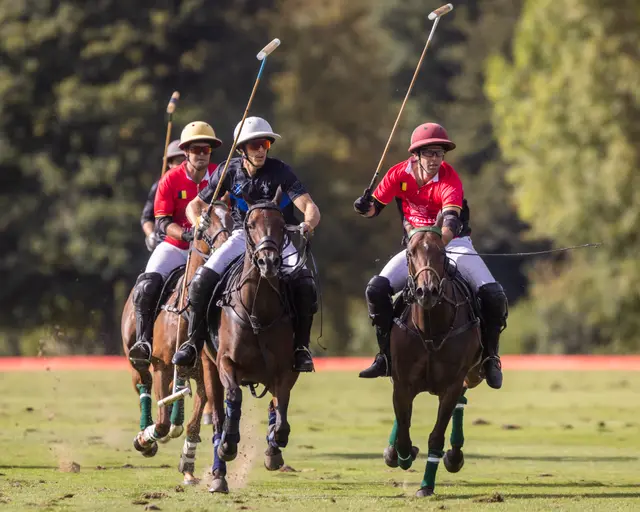 🐎 Watch Tournament: World Championship Qualifiers at Chantilly Polo Club
