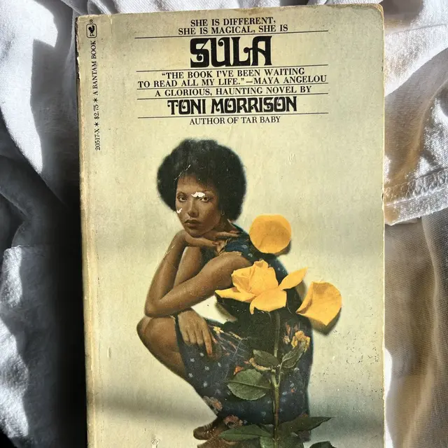 Sula - A Third Discussion