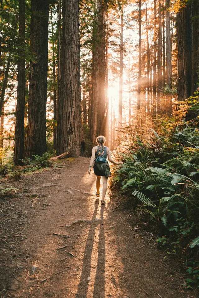 Life Science Hikers: Boston Edition - September Hike