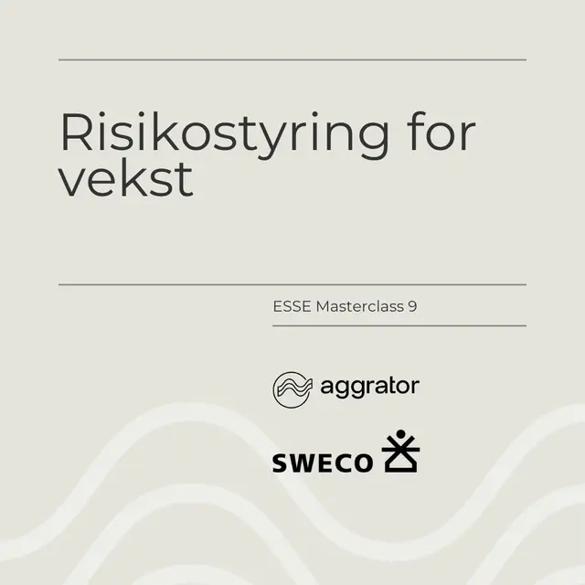 ESSE 9: Risikostyring for vekst