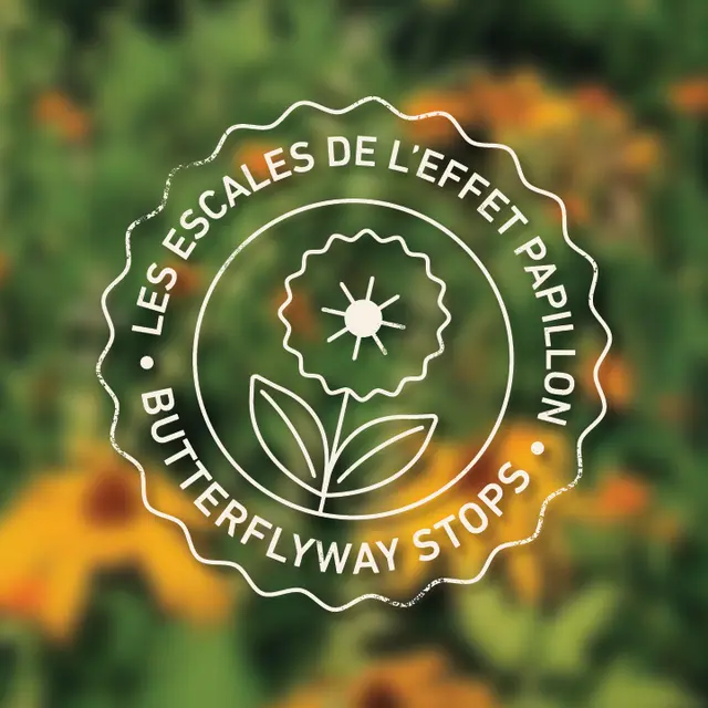 Les escales de l'Effet papillon / Butterflyway Stops