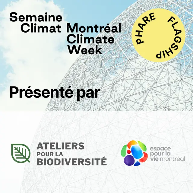 La parole aux jeunes : quelles priorités pour l'environnement?