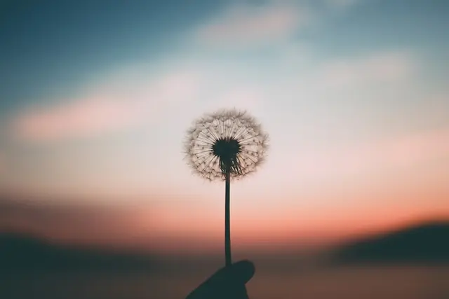 Reset Lab: A guided mind & body reset