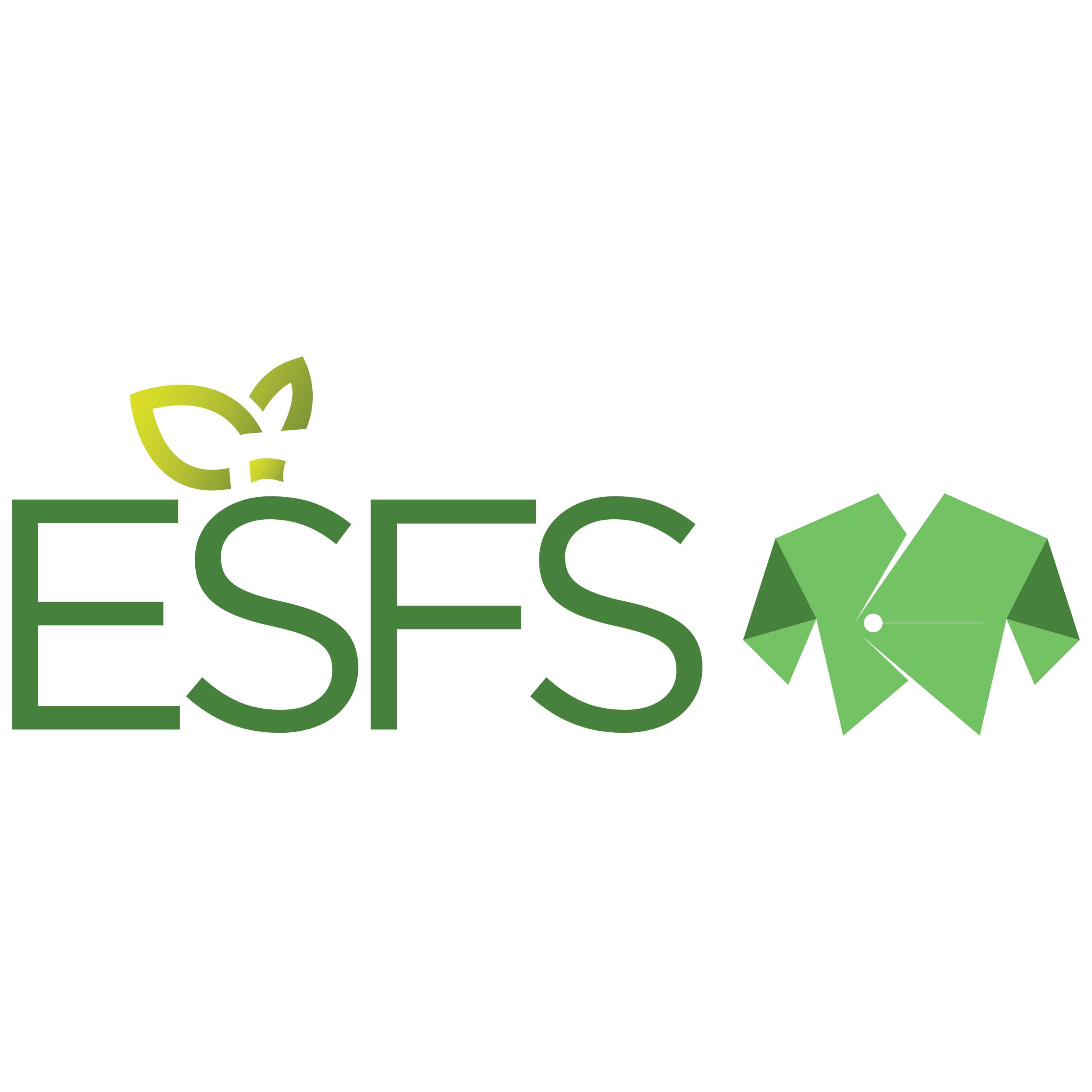 Edmonton Sustainable Fashion Show