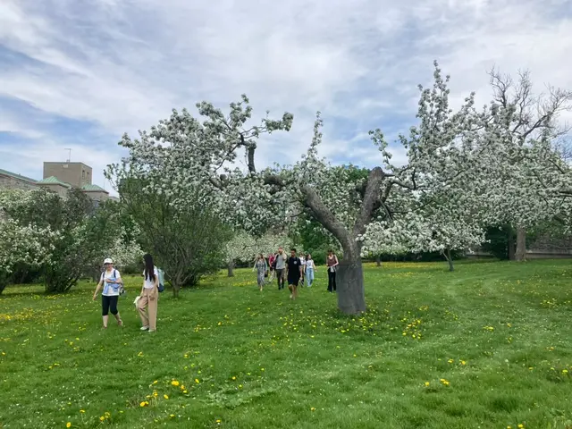 cueillette urbaine avec Les Fruits défendus