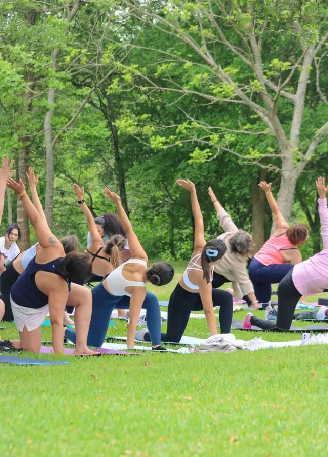 Yoga Al Aire Libre + Sound Healing Session