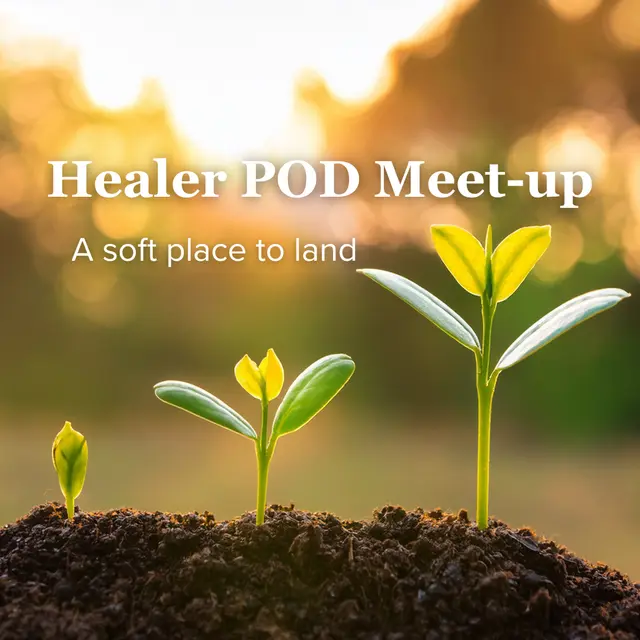 Healer Pod Meet-Up