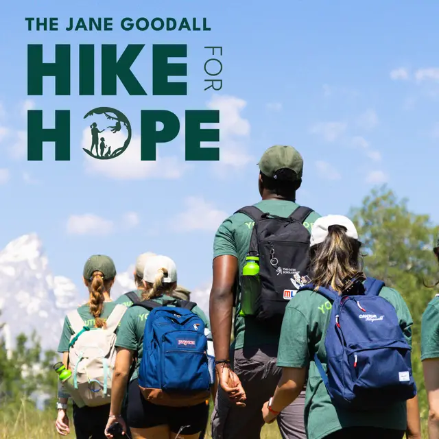 Hike for Hope - Chicago Basecamp Event