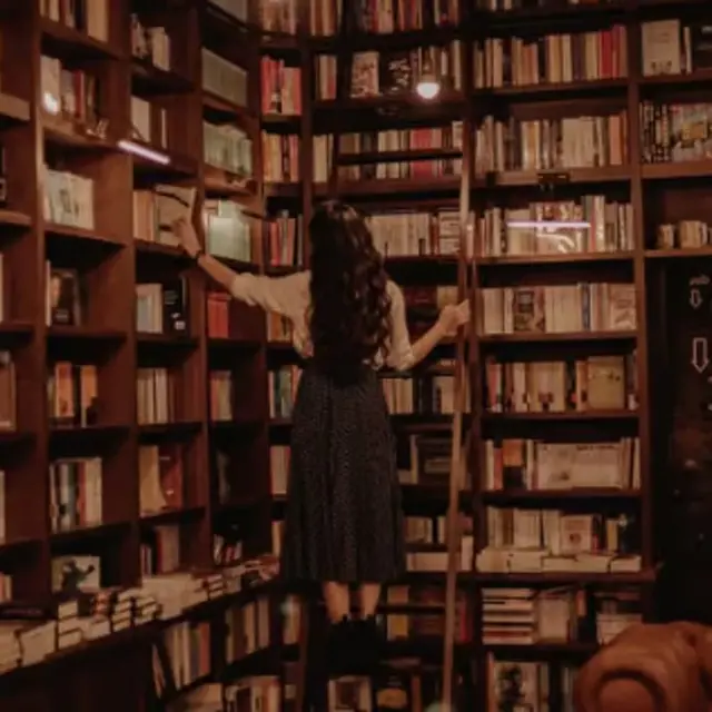Meet Between the Shelves