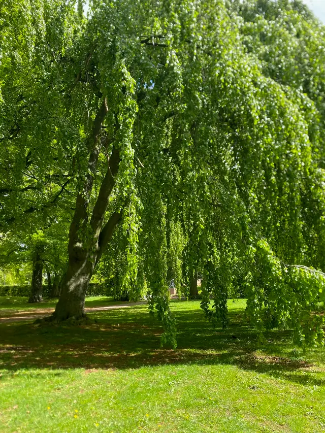 Secrets of Nature: Scavenger hunt