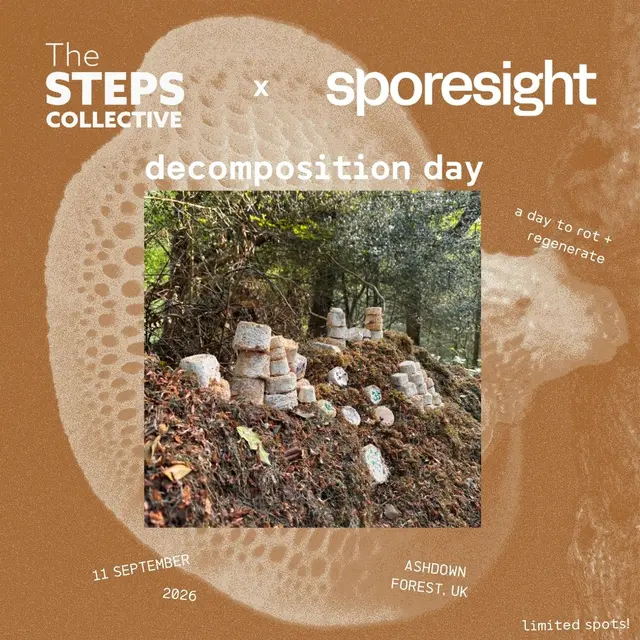 STEPS x Sporesight - Decomposition Day