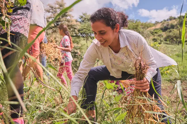 De Bons Matins pour le Climat : Transformer nos systèmes alimentaires du local à l'international