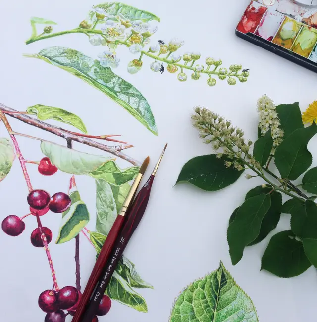 Peinture nature au jardin de pollinisateurs/Nature Painting in the Pollinator Garden