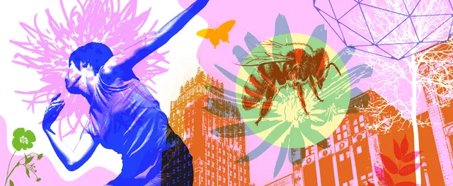 Ecologies in Motion: Nature, Movement and the More-Than-Human City