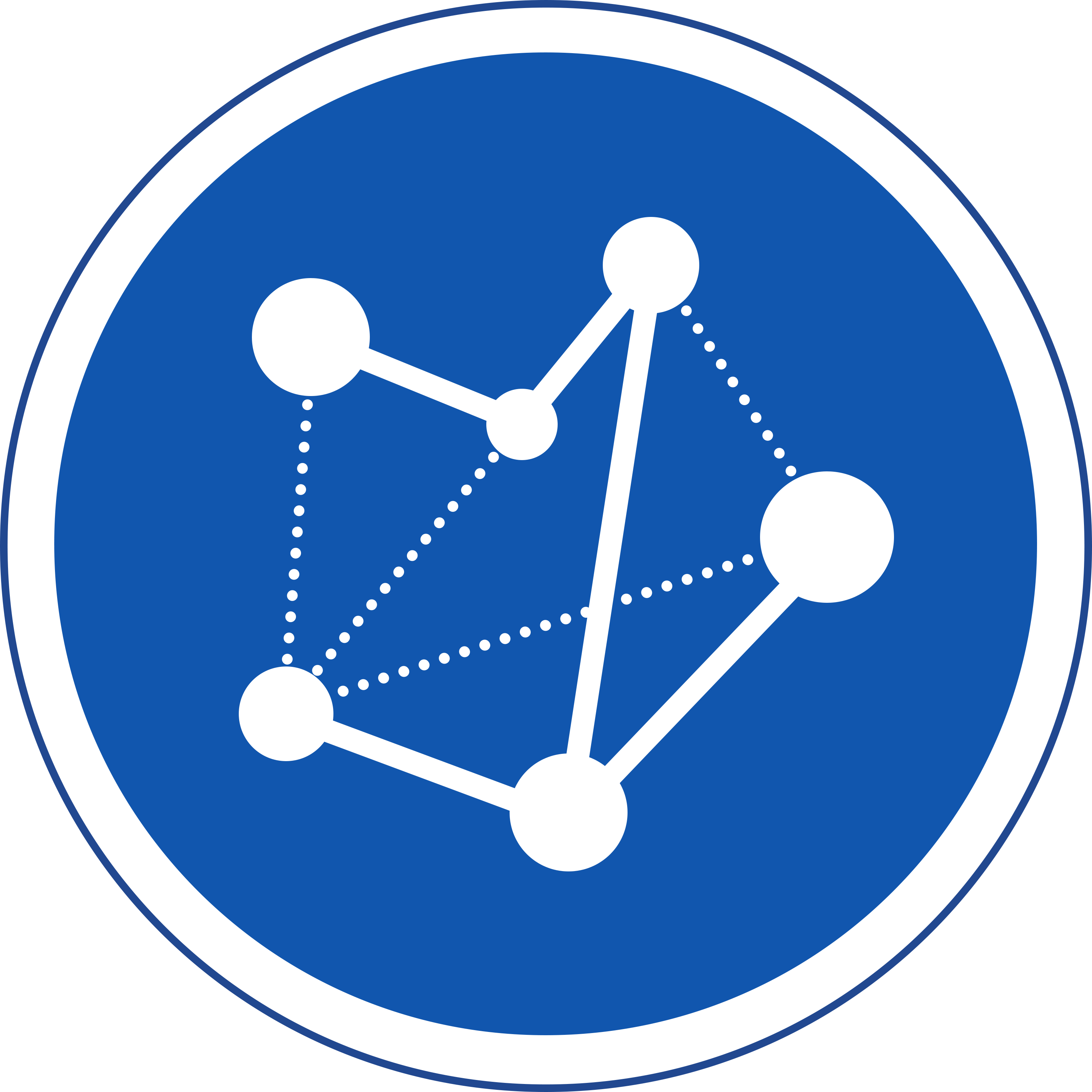 PoliNetwork