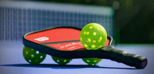 AREAA's Pickleball Tournament at The Picklr, Sandy UT