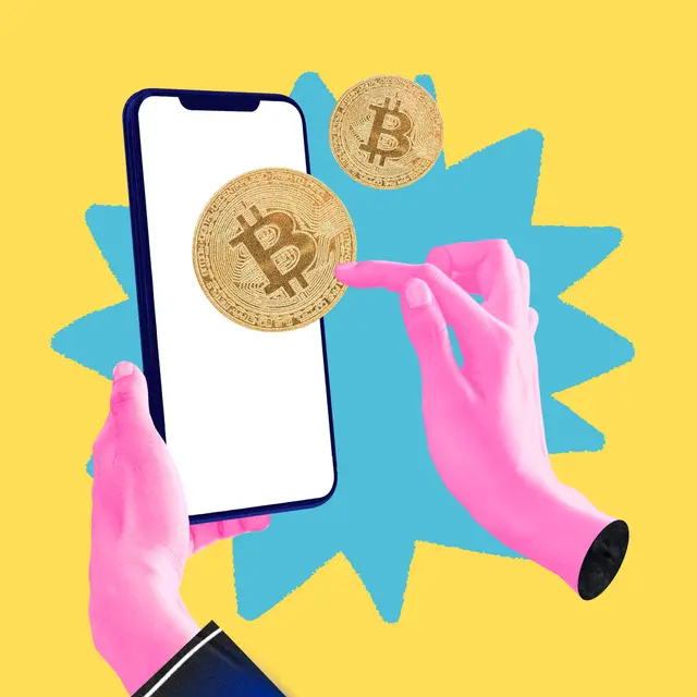 Bitcoin Bay Sauga