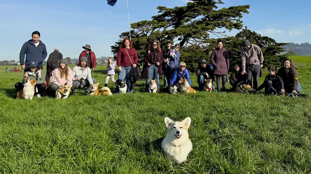 Point Isabel September Corgi Meetup