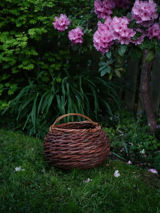Large Twisted Willow Basket