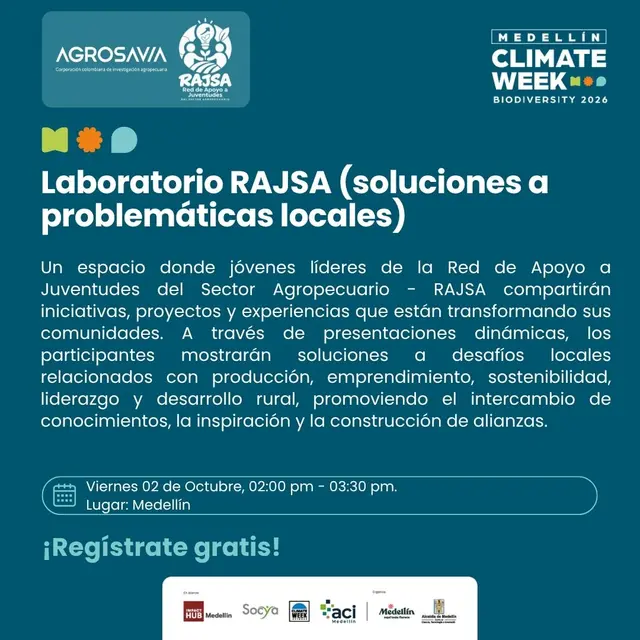 Laboratorio RAJSA (soluciones a problemáticas locales)