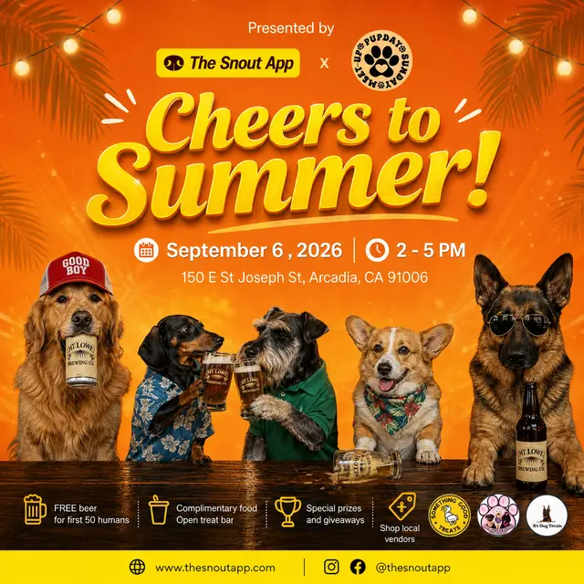 Cheers to Summer!
