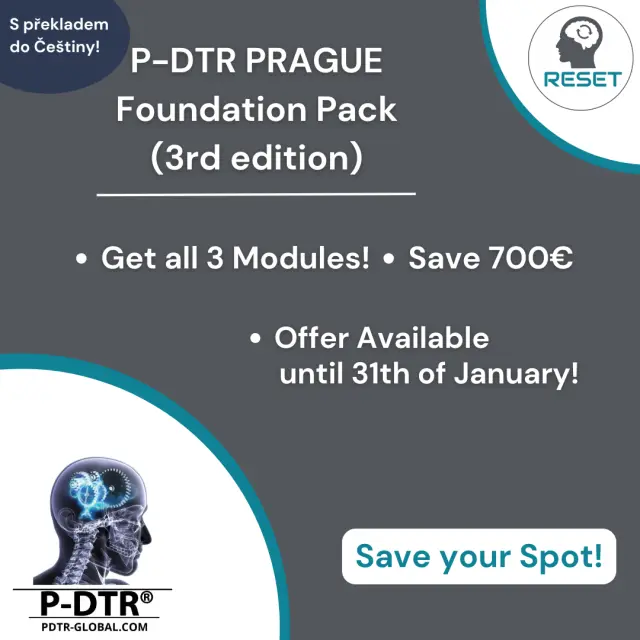 P-DTR Foundation Pack (All Modules) – 2026 edition – S překladem do Češtiny!