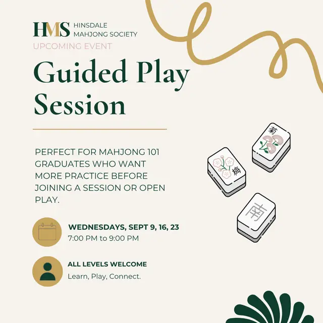HMS Foundations: Guided Play