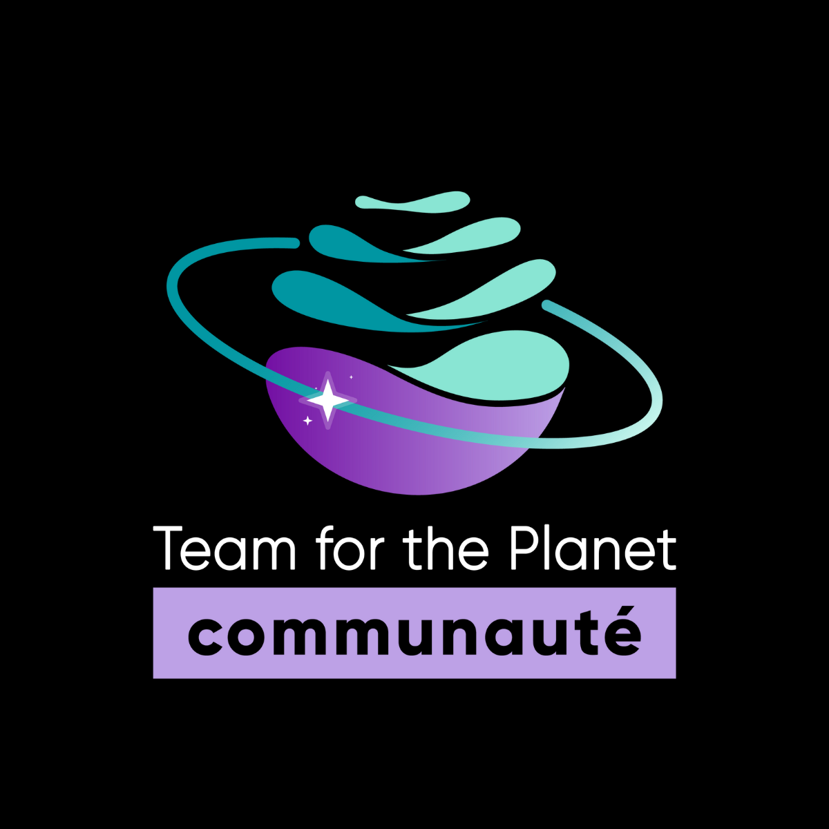 La communauté de Team for the Planet