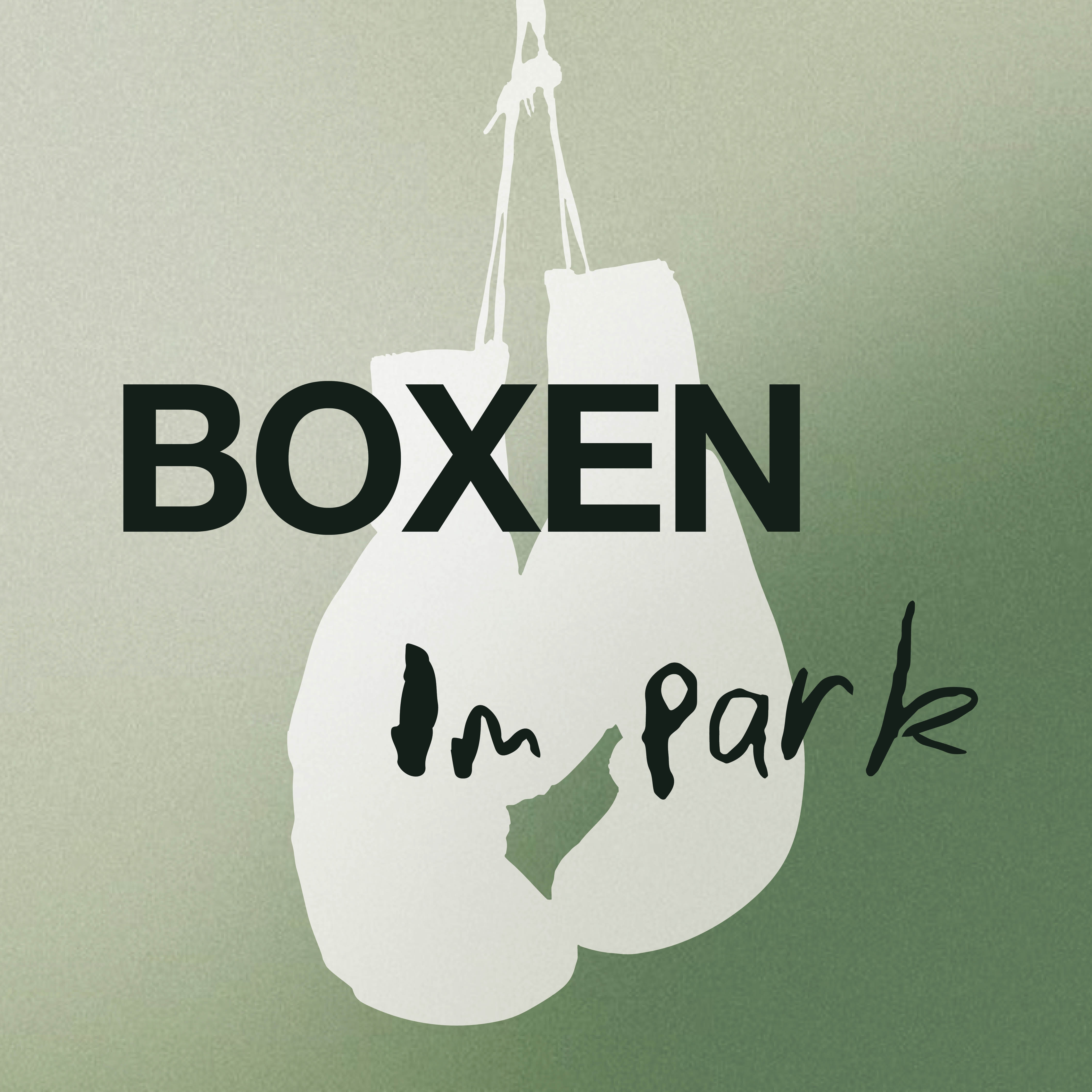 Boxen im Park Wien