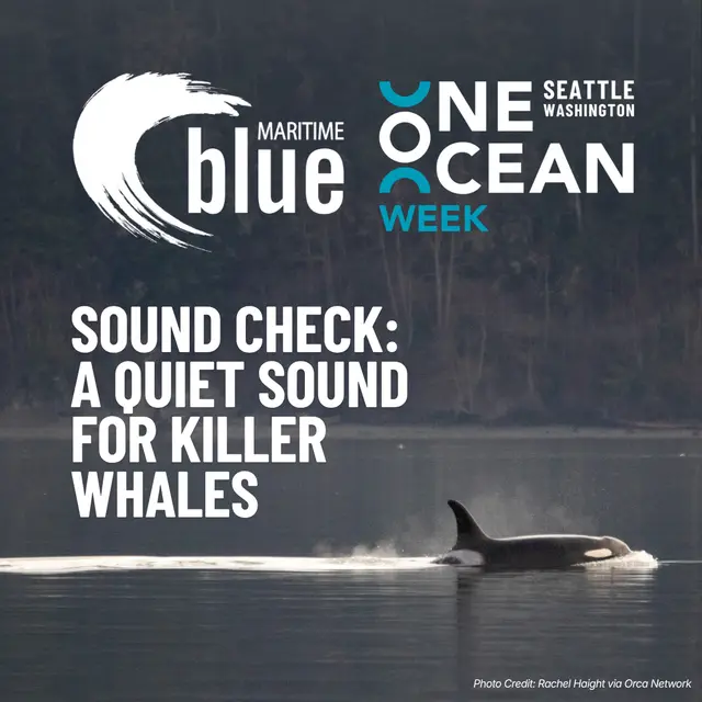 Sound Check: A Quiet Sound for Killer Whales