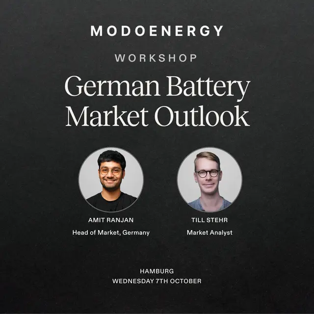 WORKSHOP: German Battery Market Outlook (Hamburg)