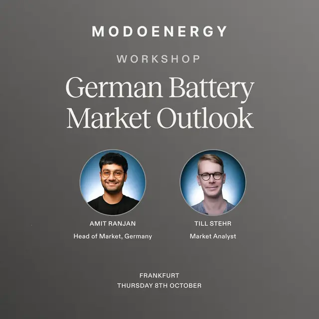 WORKSHOP: German Battery Market Outlook (Frankfurt)