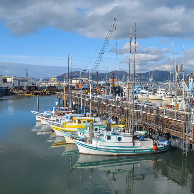 Fisherman's Wharf Forward Community Meeting 2: Concept Design Open House