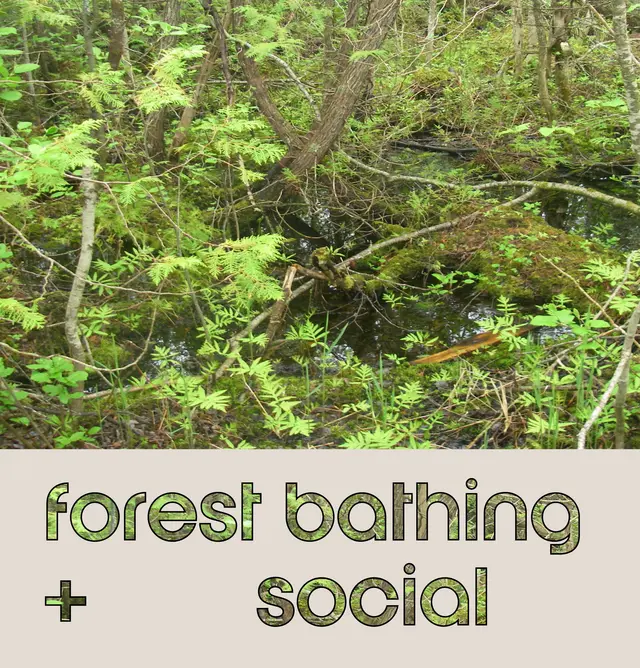 Forest Bathing + Social