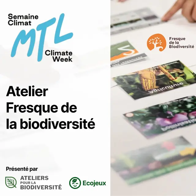 Atelier collaboratif « Fresque de la biodiversité » : Comprendre et agir pour la biodiversité