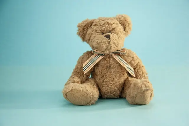 Teddy Bear Tea Party!
