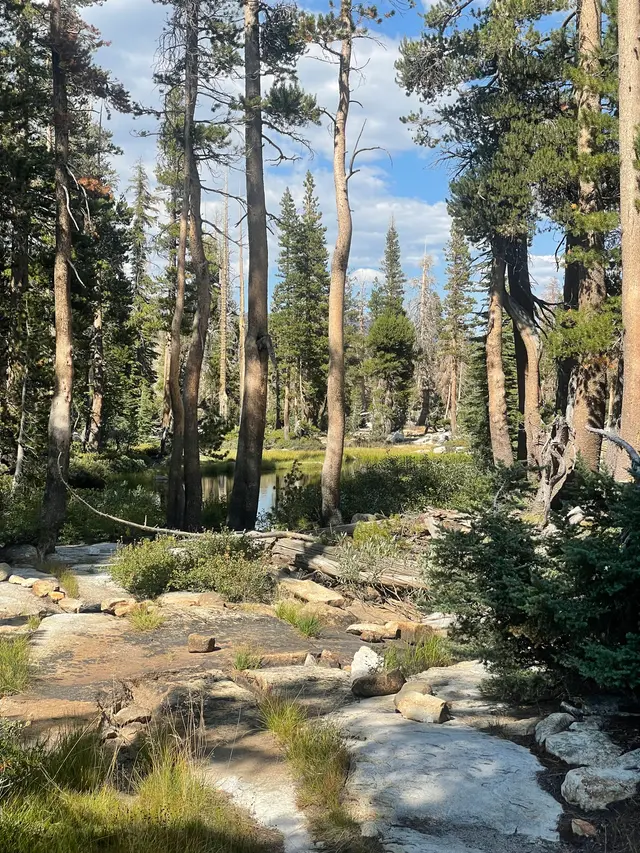 Camping Gear Exchange