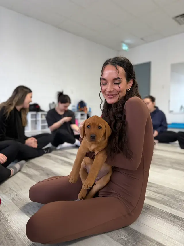 AfroPuppyYoga |📍Kitchener |🐶Dachshunds