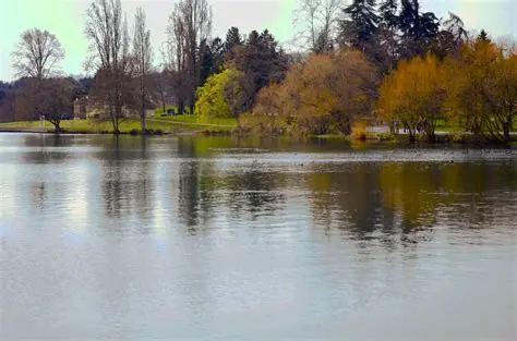 Startup Walk & Talk @ Green Lake