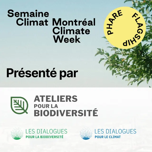 Un automne de COP : comprendre les enjeux, suivre les négociations et explorer les perspectives