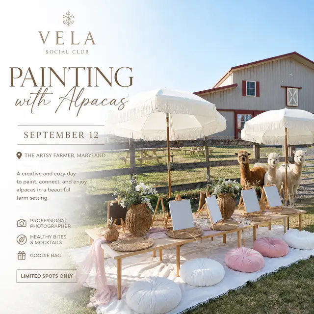 Painting with Alpacas | VELA Social Club