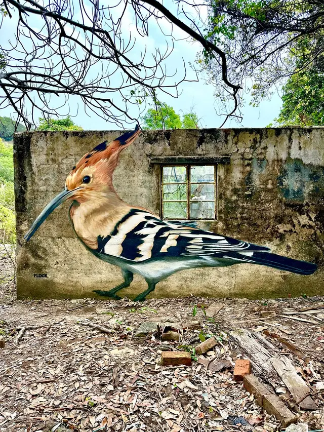 Walk Your Way: Flock Bird Mural Exploration supported by Bupa