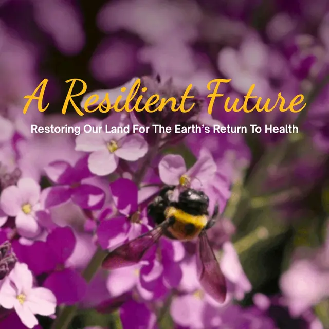 A Resilient Future Premiere