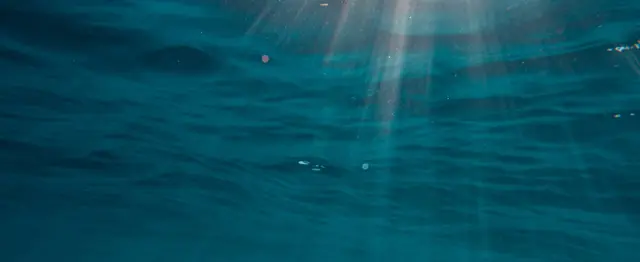 Making the Invisible Visible: Microplastics off the Massachusetts Coast