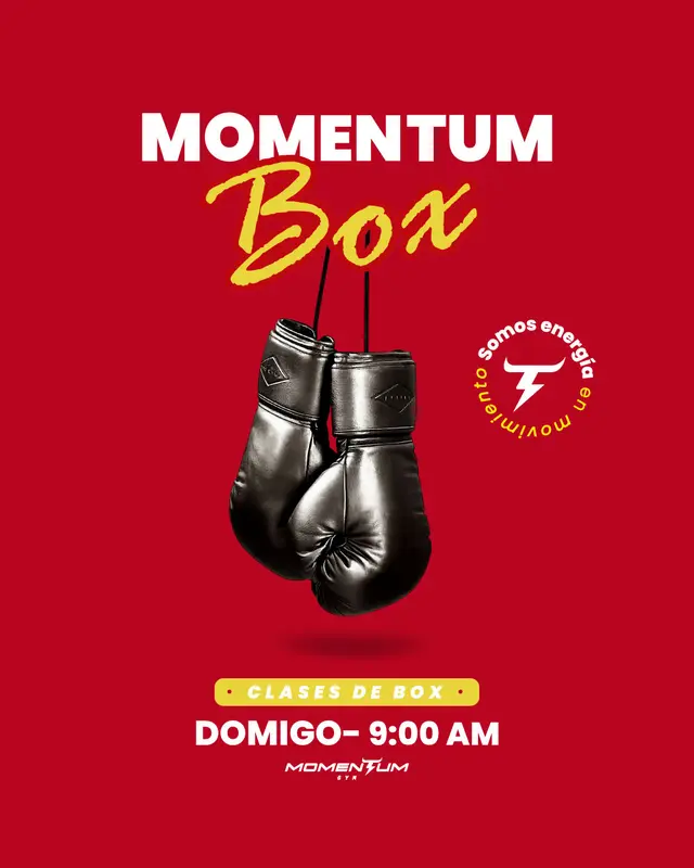MOMENTUM BOX