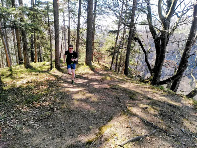 Community Trail Run Schwarzenburg