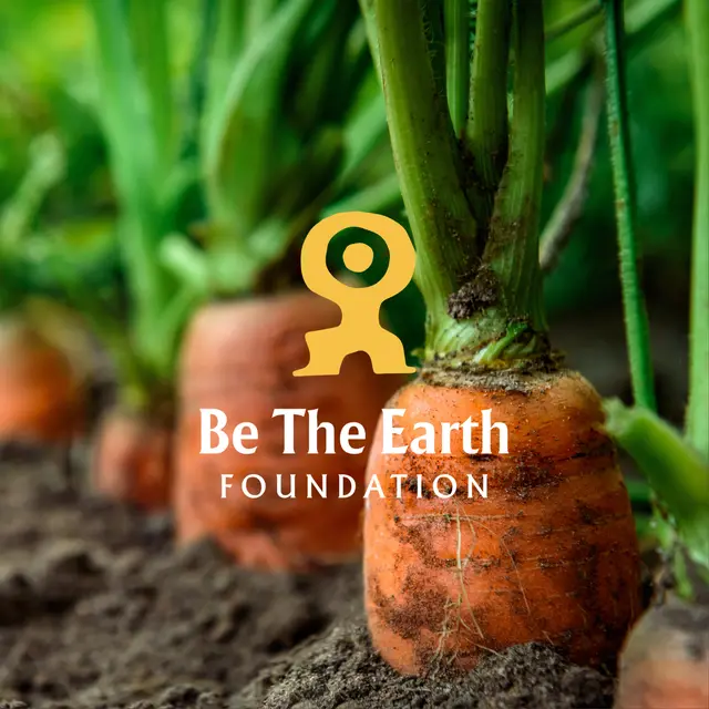 Food as an Act of Care - Seasonal Talk III