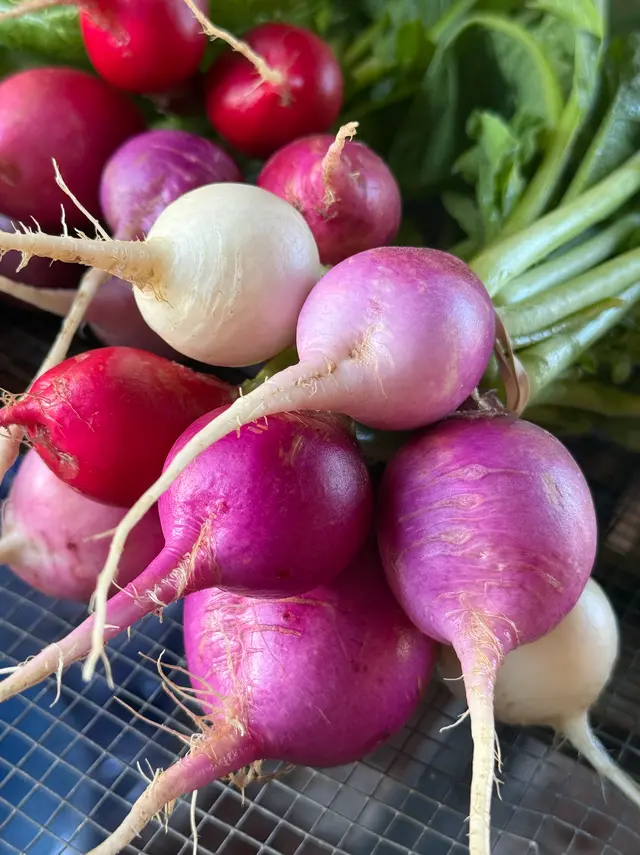 Gratitude Season Feast: A Farm to Table Experience
