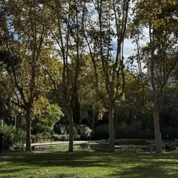 Yoga al Aire Libre • Parque Turó 🍃